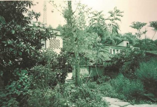 5c07428e8ec76.jpg