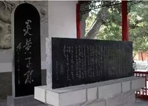 5cde41f7b77e5.jpg