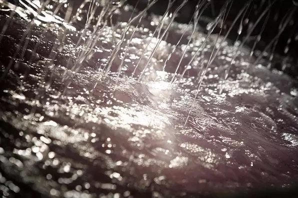 5d5525c607513.jpg