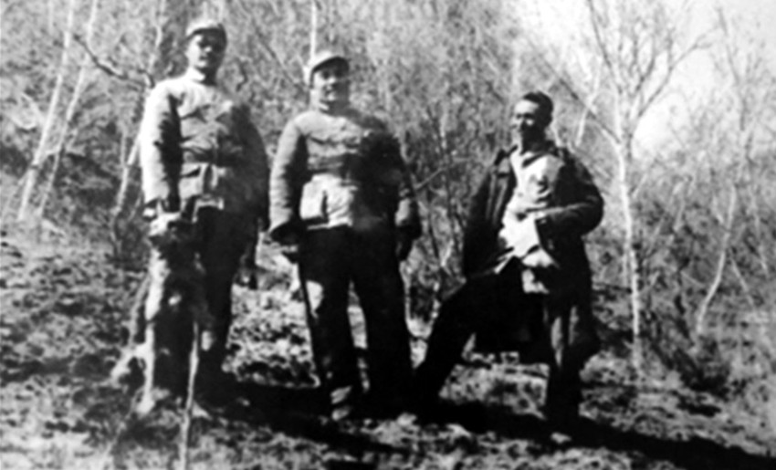 5ebea30372b36.jpg