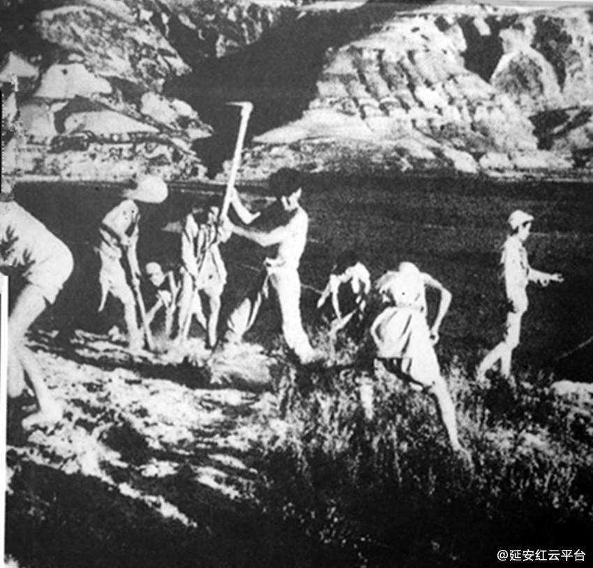 5efbef98a4206.jpg IMG_1944_副本_副本.jpg