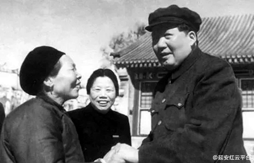 t010ba033362fe156fd.webp (1)_副本.jpg