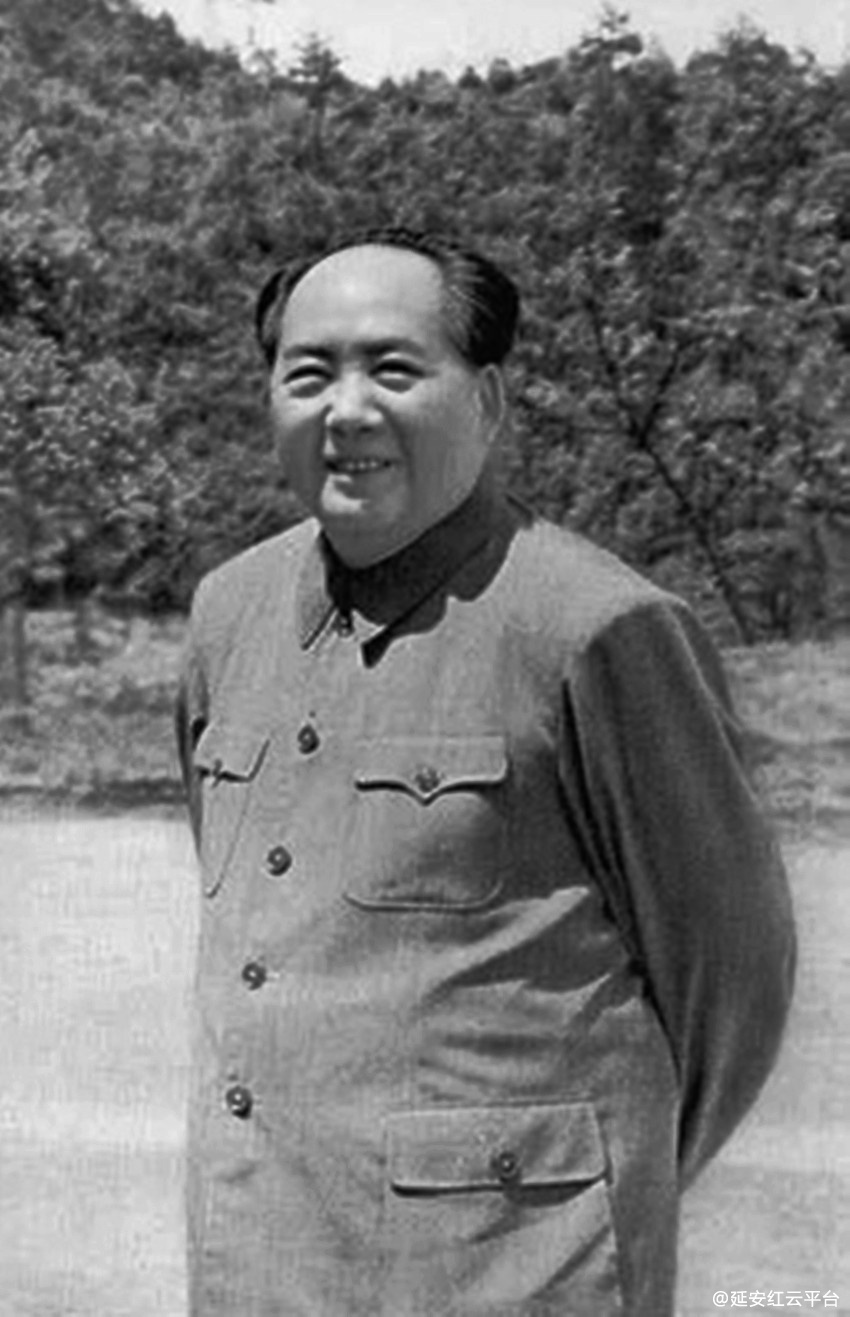 0019b900a7e8074f3e2b17_副本.jpg