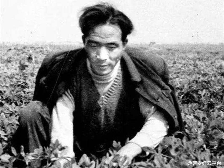 3a3c2d0b-c693-4624-8430-24951ad373d7.jpg_副本.jpg