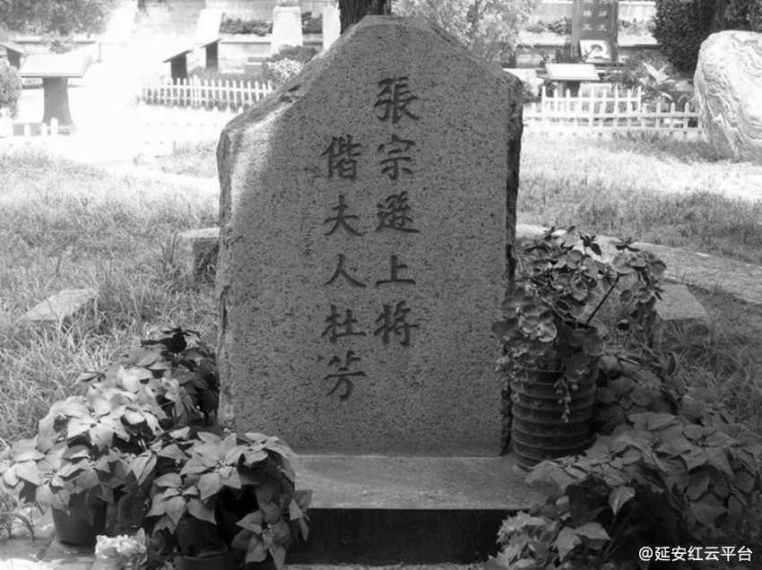 a2cc7cd98d1001e9e4dfb61bbf0e7bec55e797c7.webp_副本.jpg