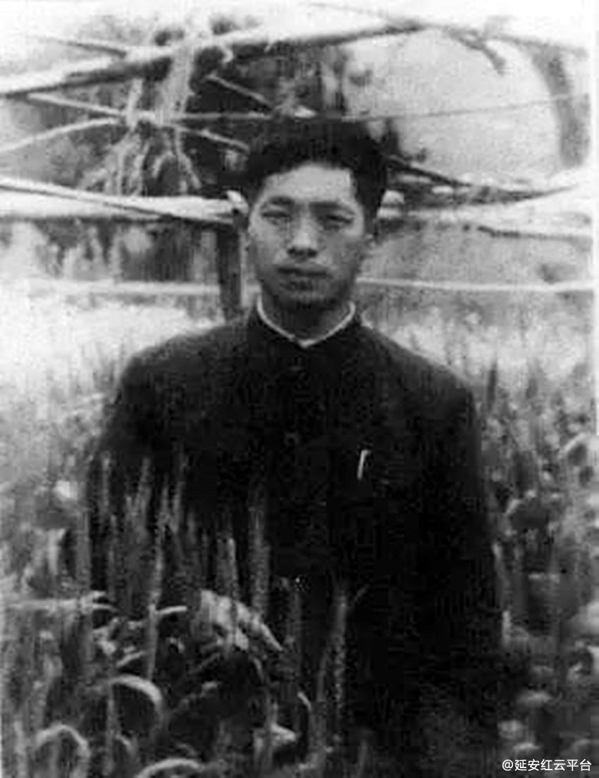 8098433-4bf694a238b229bba46a2a2e153fdb22_副本.jpg