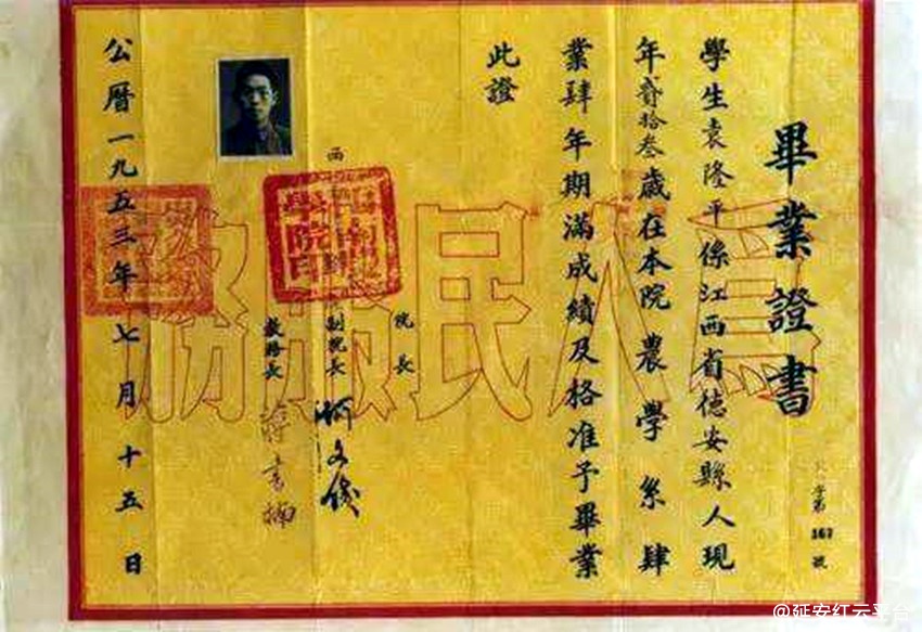8098433-128ce9d77bf5079ca42a6ddb94c03771_副本.jpg