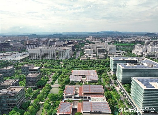 杭州未来科技城鸟瞰（6月19日摄）。 本报记者 母家亮摄.png