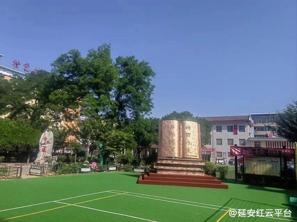 图片6.jpg