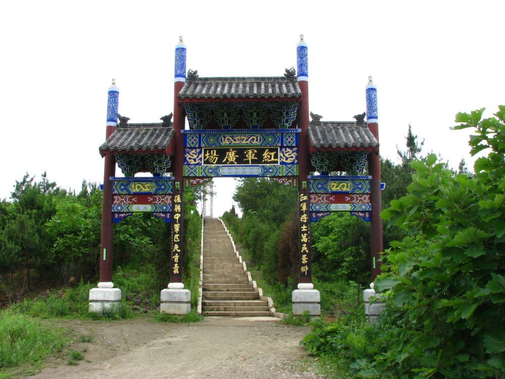 5cee2d7d91312.jpg