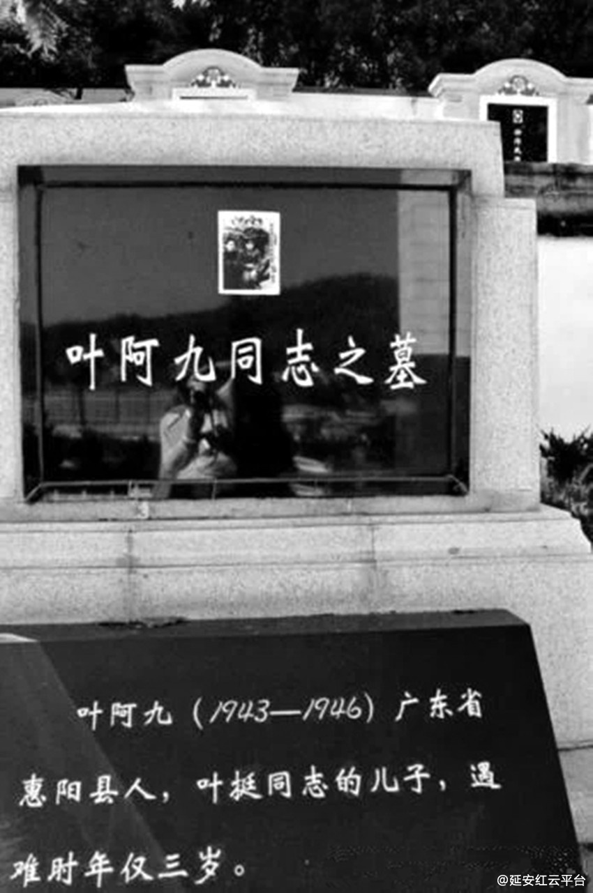 t01d7bed0d45385968d.webp_副本.jpg