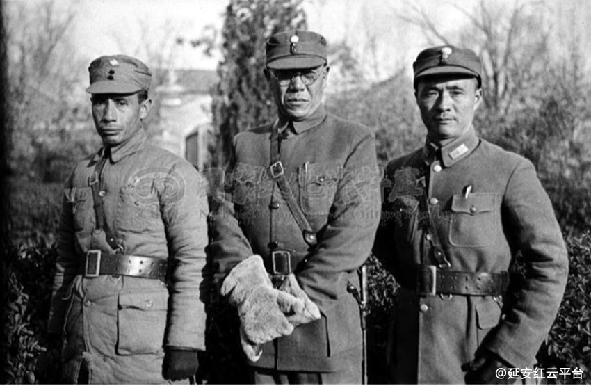 d6ca7bcb0a46f21fba5a530afe246b600c33ae78.webp (1)_副本.jpg