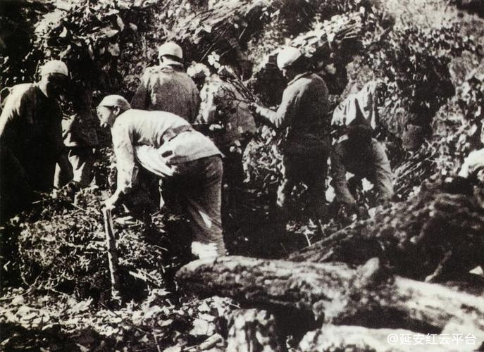 1943年张思德（左一）带领中央警卫团的战士在烧木炭。.jpg